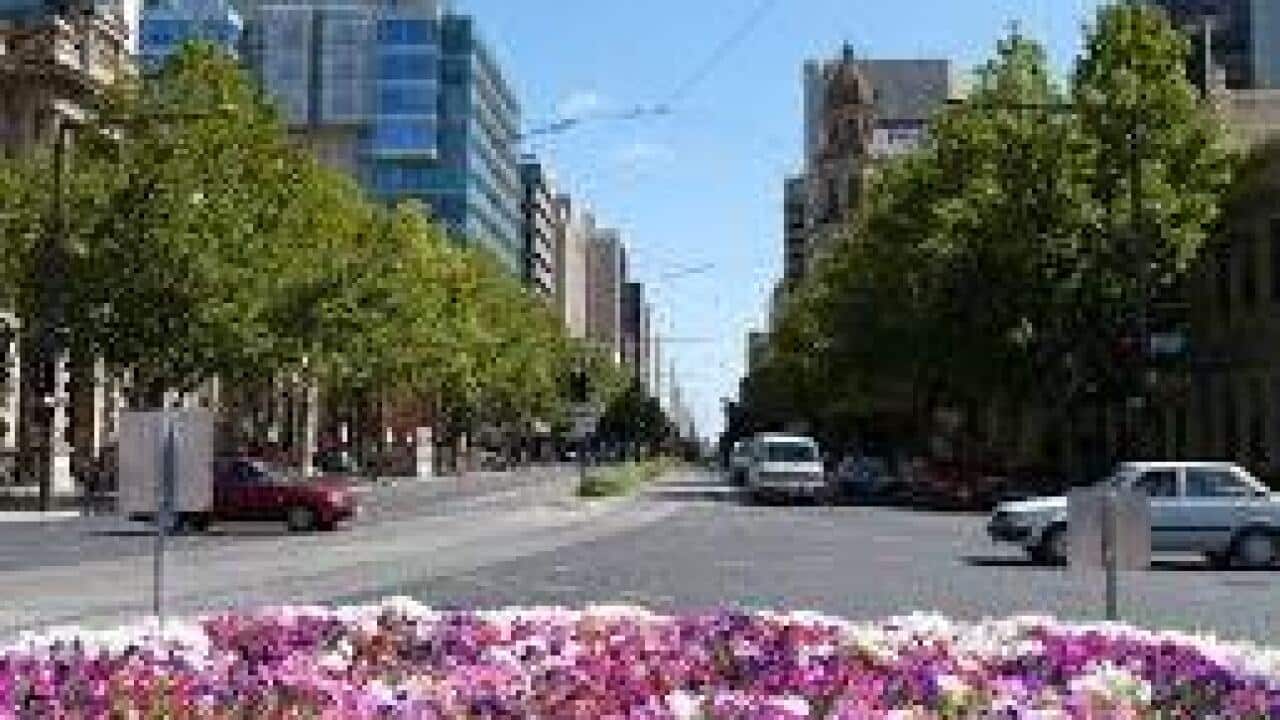 Adelaide Downtown