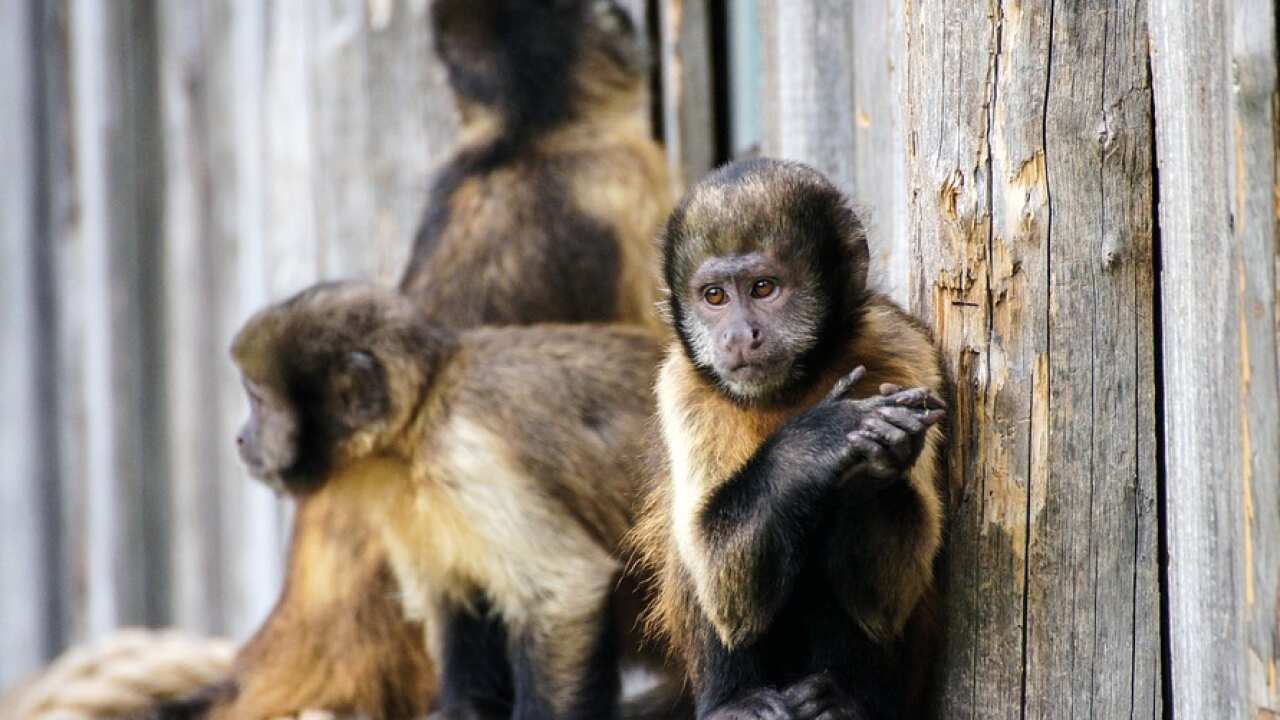 Image for read more article ''