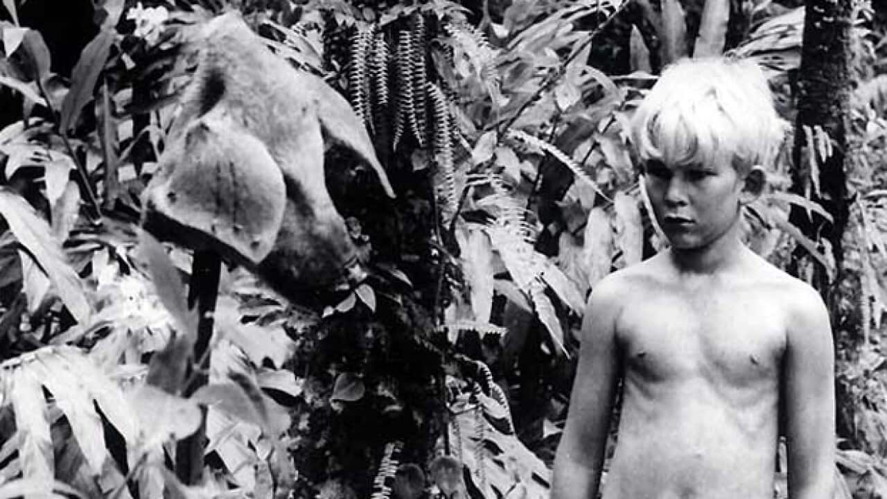Lord of the flies_maxed_189138289