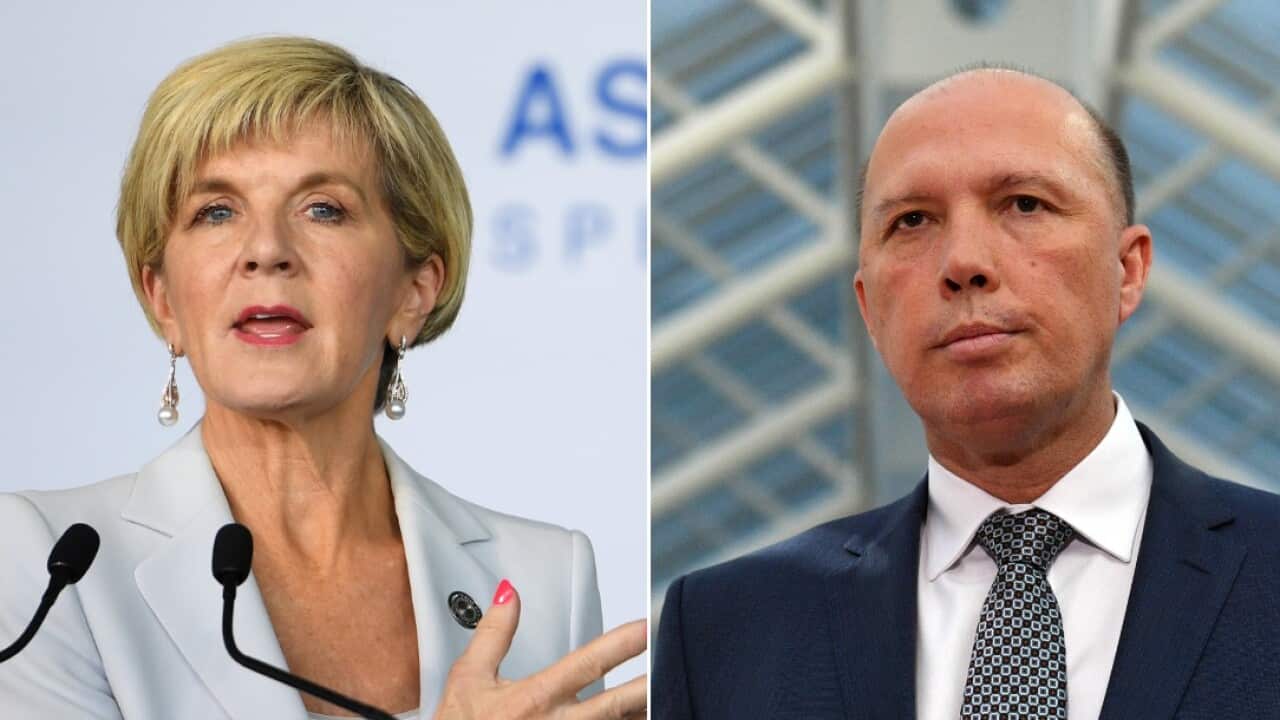 Composite image: Foreign Minister Julie Bishop and Minister for Home Affairs Peter Dutton