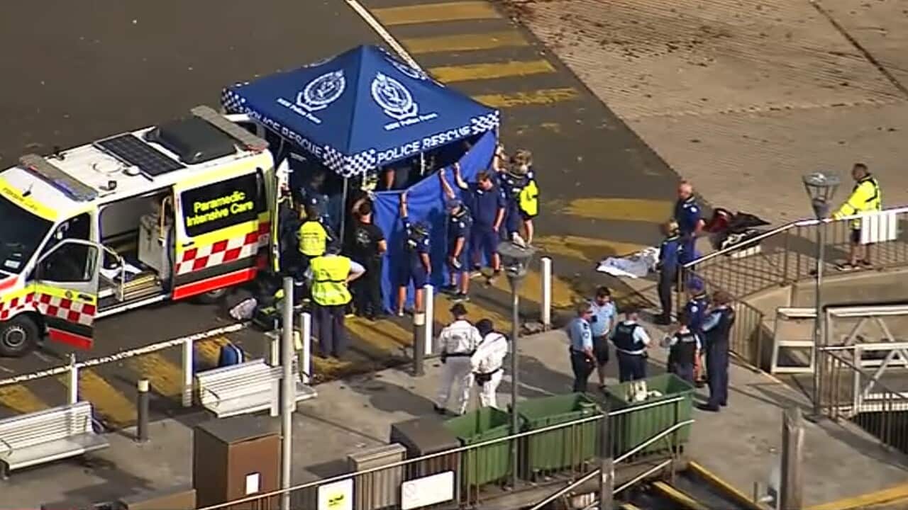 SYDNEY SHARK ATTACK