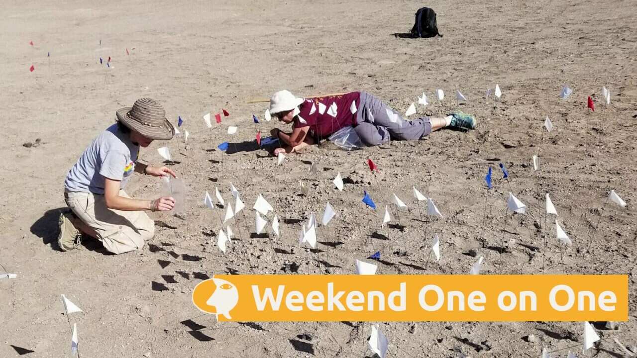 The fossil discovery site at Ledi Gararu in Ethiopia (Supplied).jpg