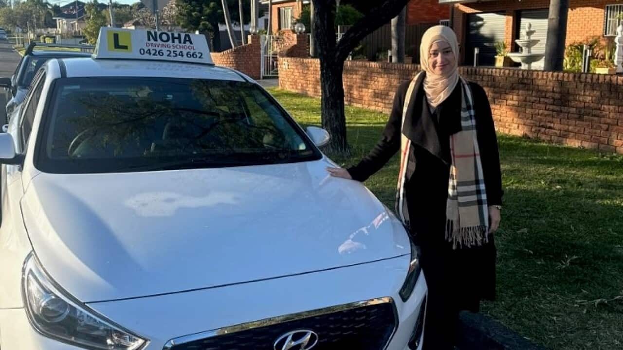 Noha Samer- Driving School.jpg