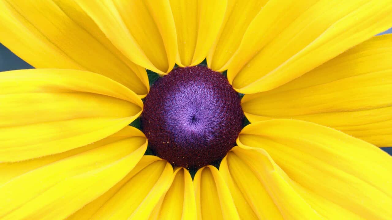 Image for read more article 'Más información:'