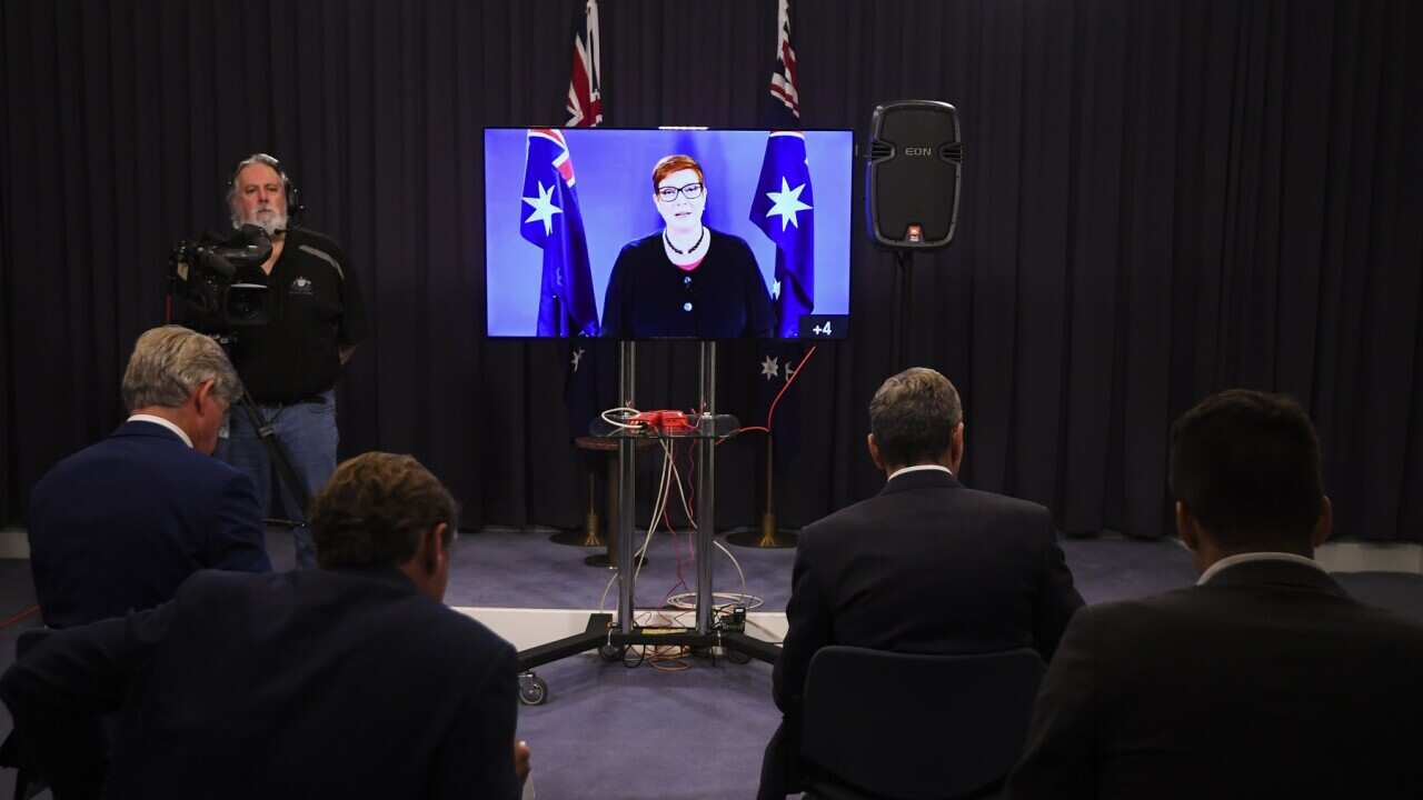 Foreign Minister Marise Payne at a virtual press conference at Parliament House in Canberra