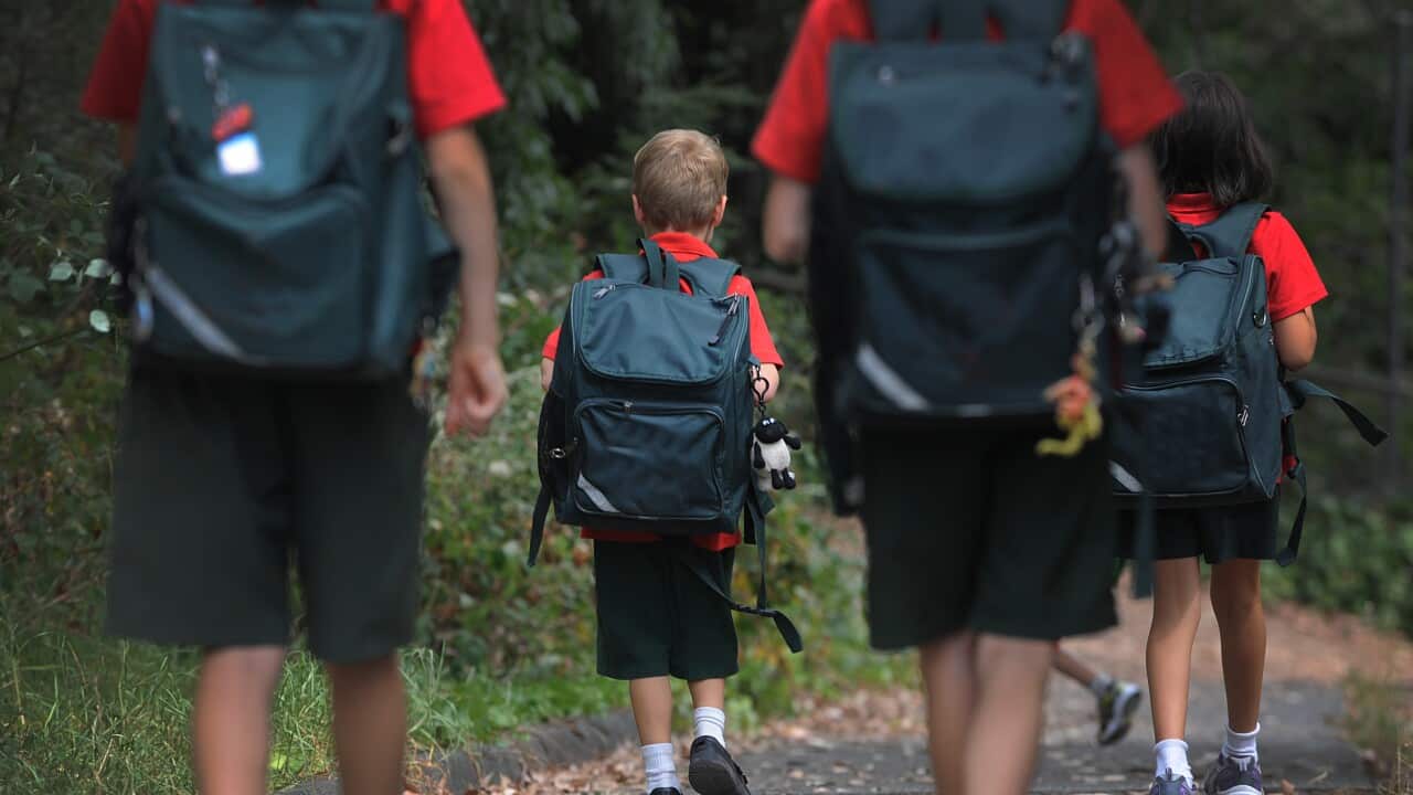 Image for read more article 'READ MORE'