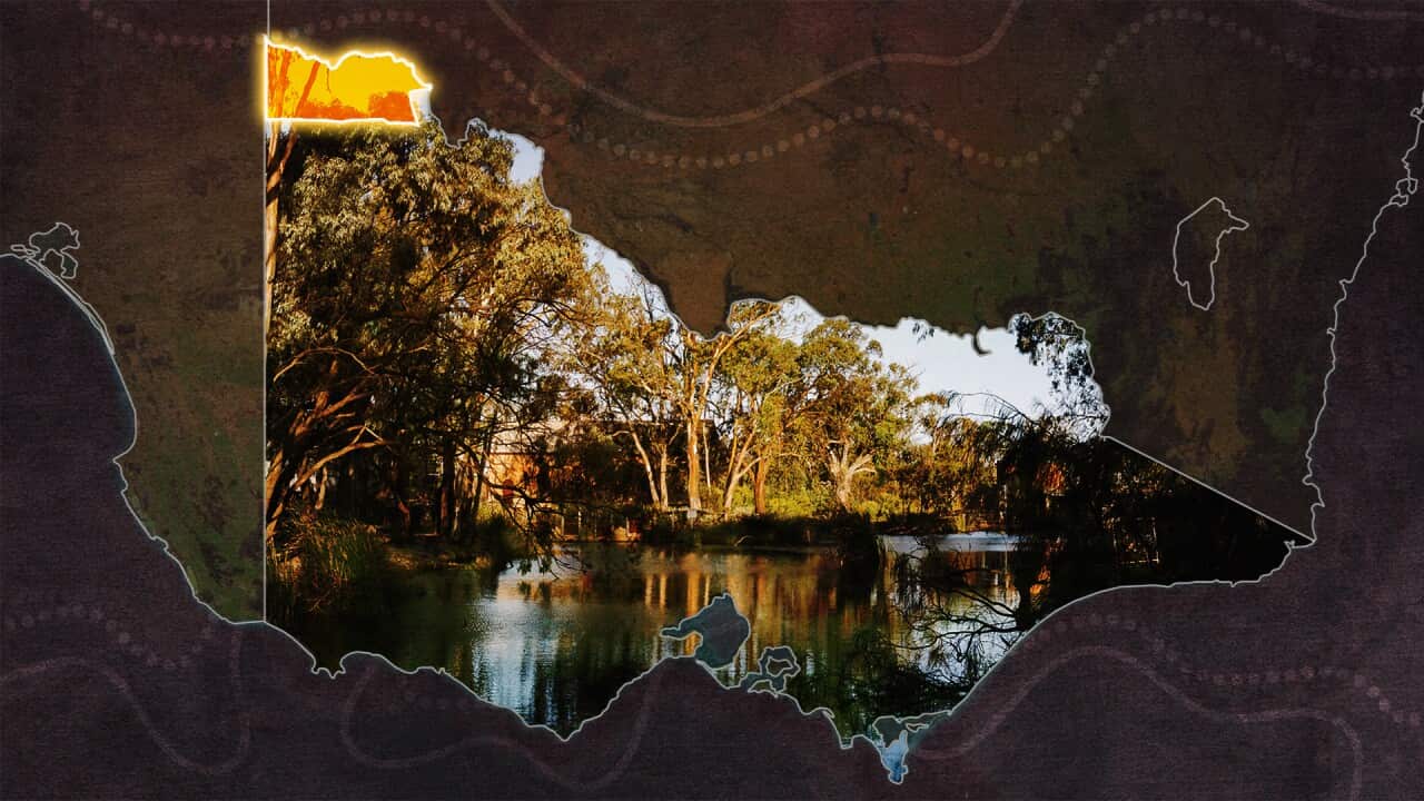 Image for read more article 'READ MORE'