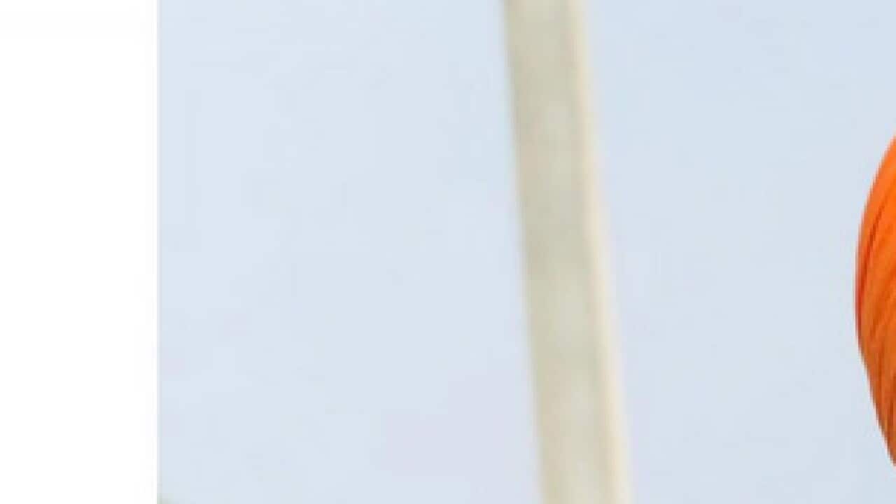 Image for read more article ''