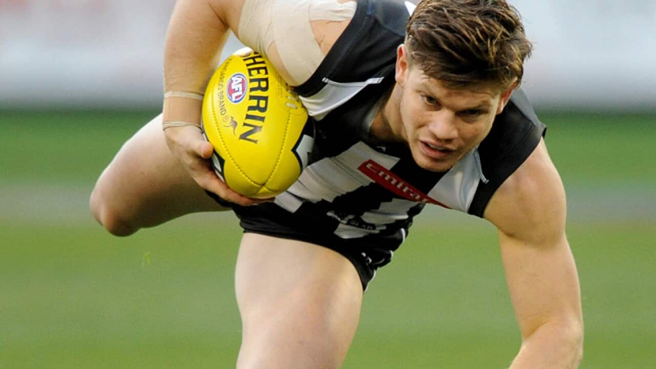 Taylor Adams of Collingwood