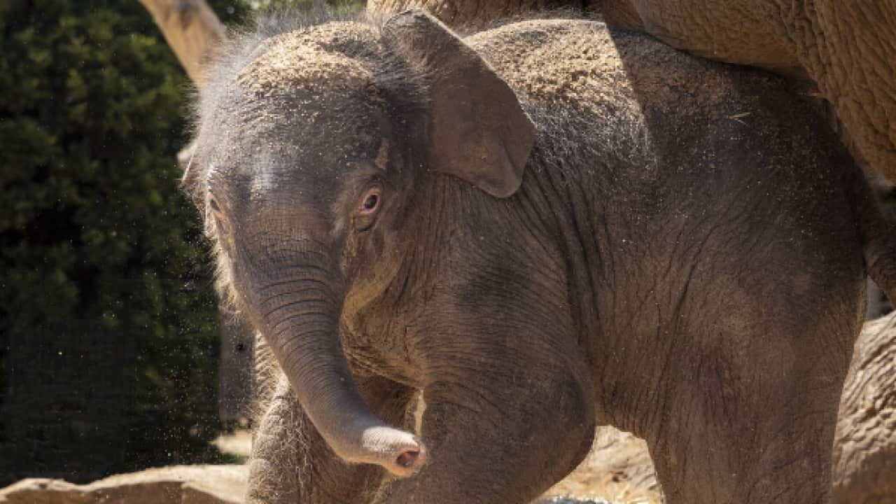 Image for read more article '其他消息'