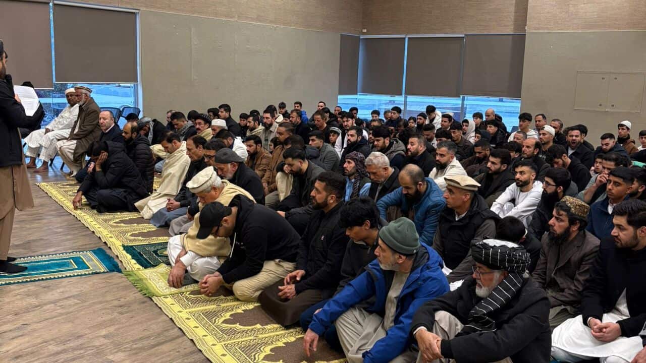 Afghan C E A.jpg