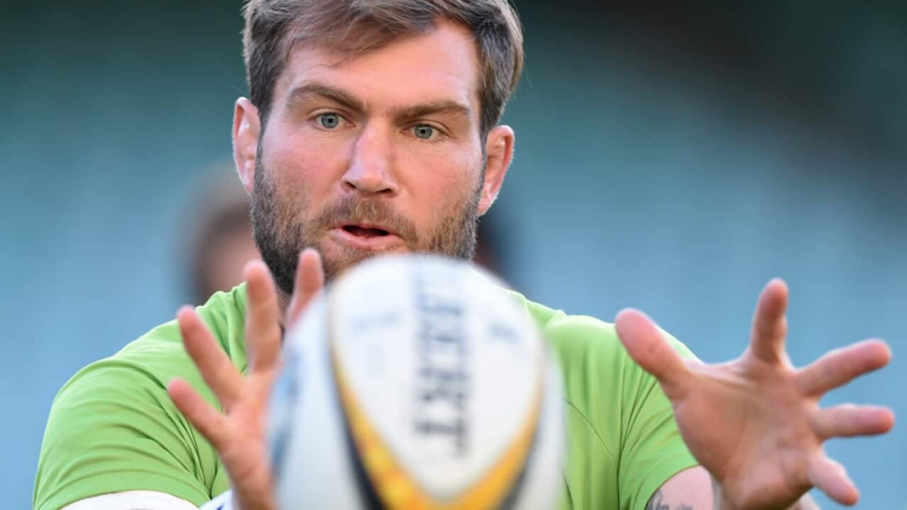 Australian rugby union player Ben McCalman