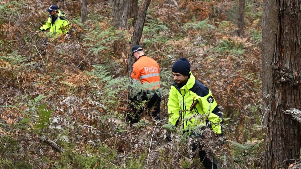 SAMANTHA MURPHY BODY SEARCH