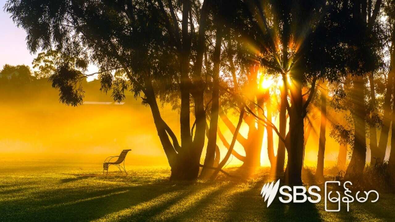 Burmese Podcast News