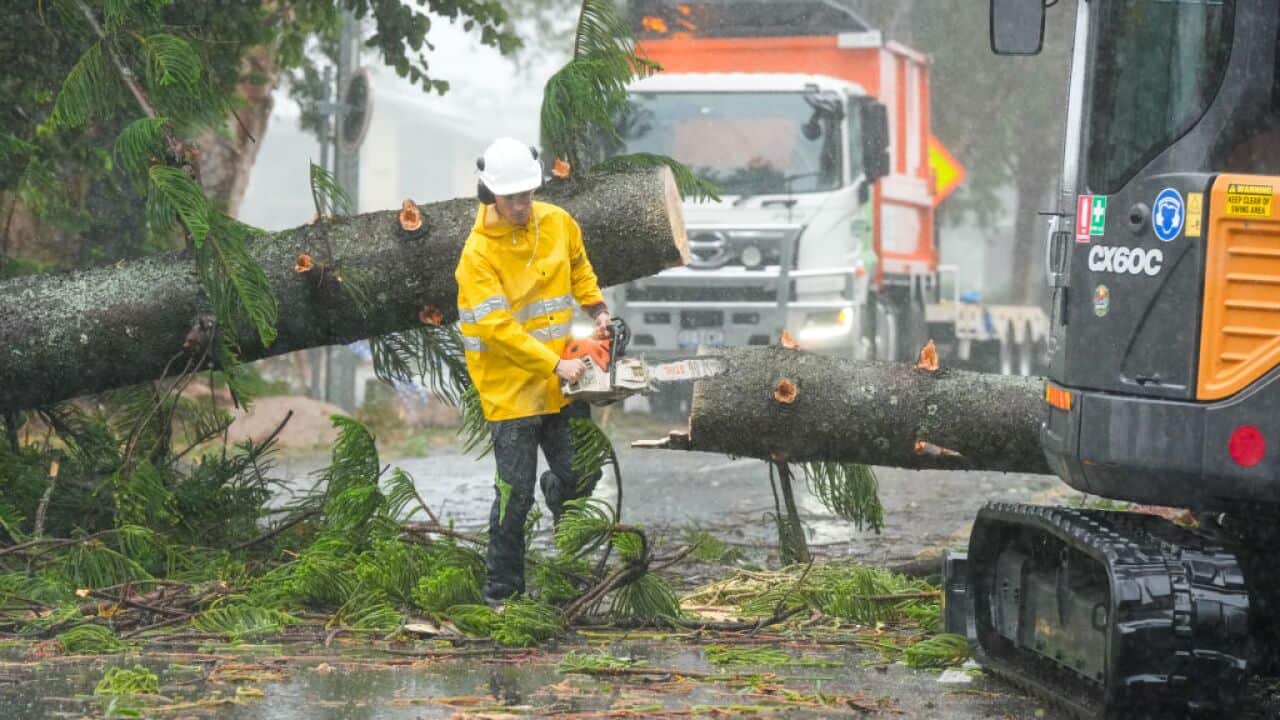 A man removing a fallen tree from a road