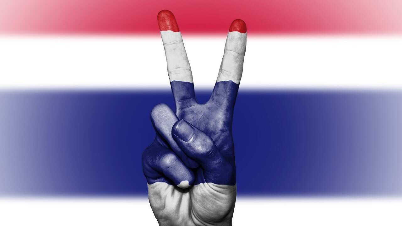 ประชาธิปไตยไทย (Pixabay)