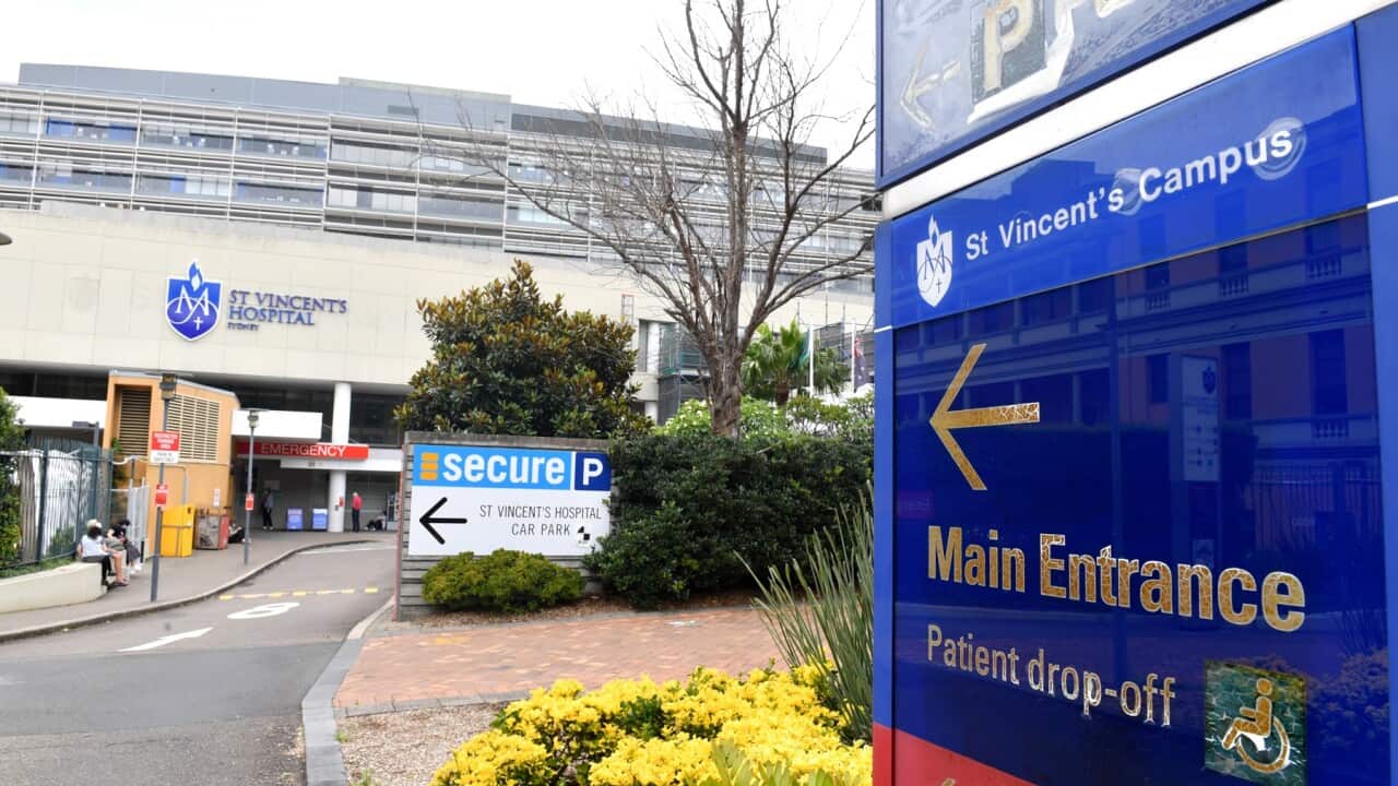 ST VINCENTS HOSPITAL STOCK