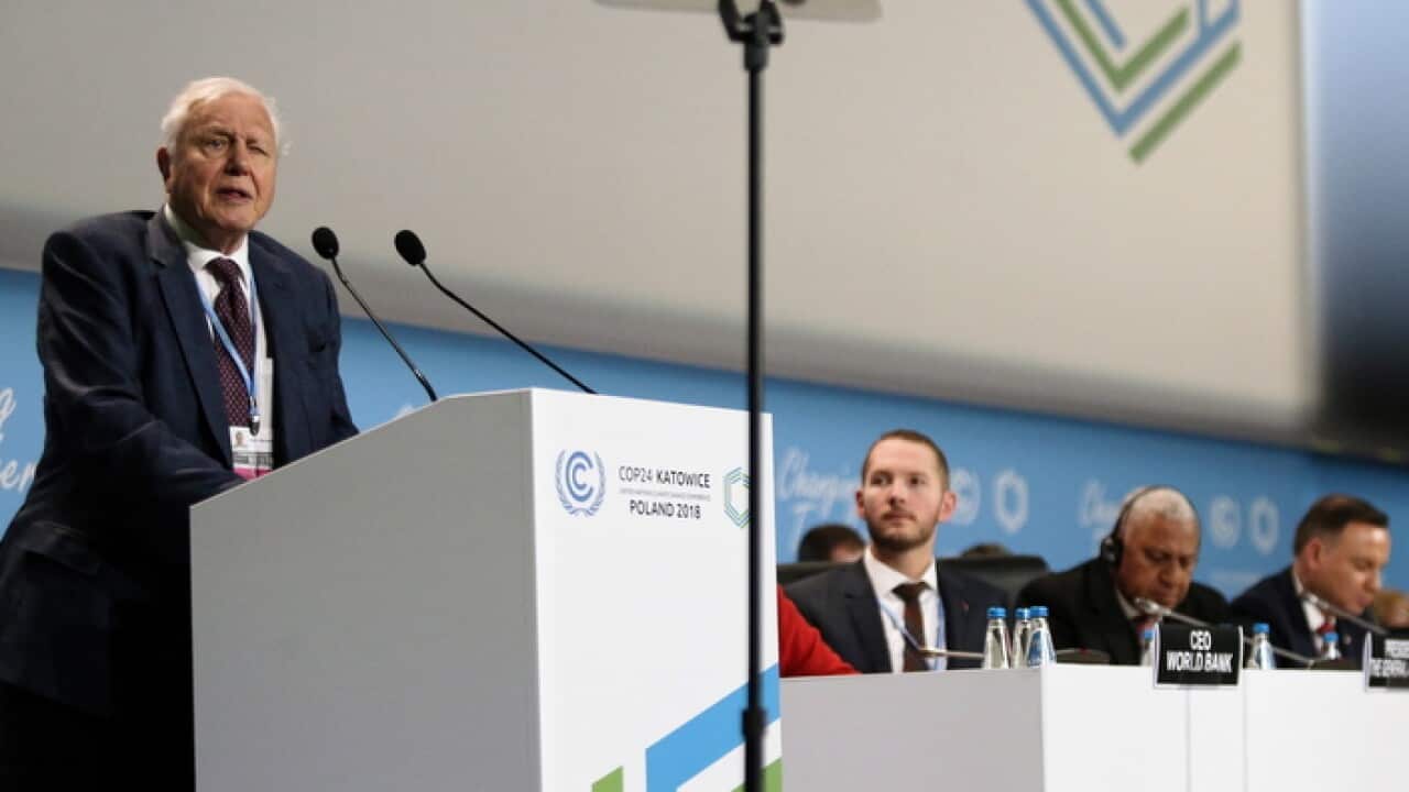 British naturalist and TV personality David Attenborough speaks in the opening ceremony of the COP24 summit in Katowice, Poland
