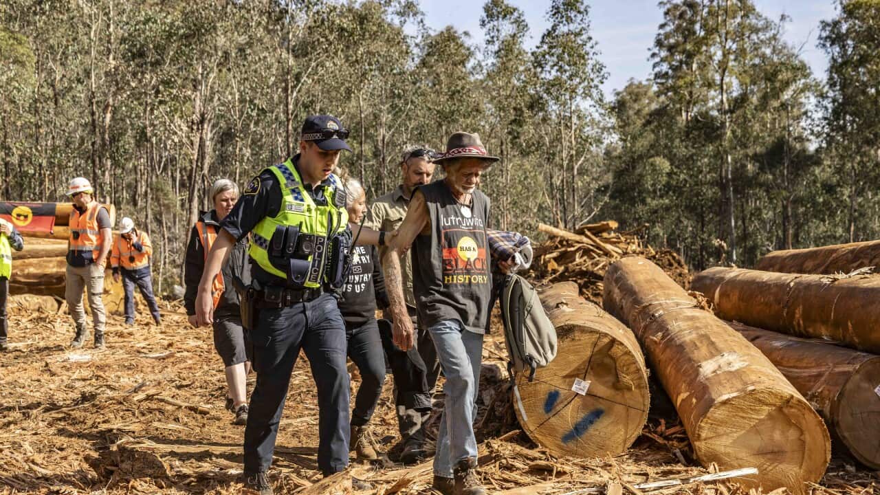 Image for read more article 'READ MORE'