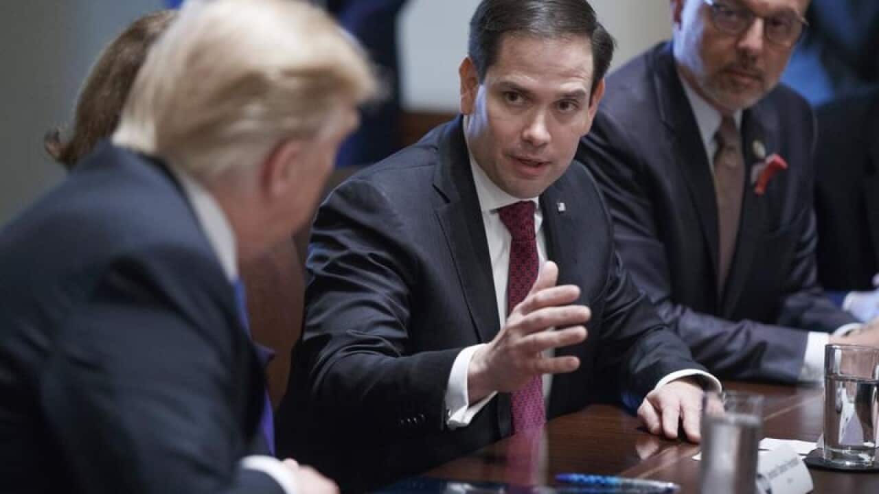 Florida senator Marco Rubio