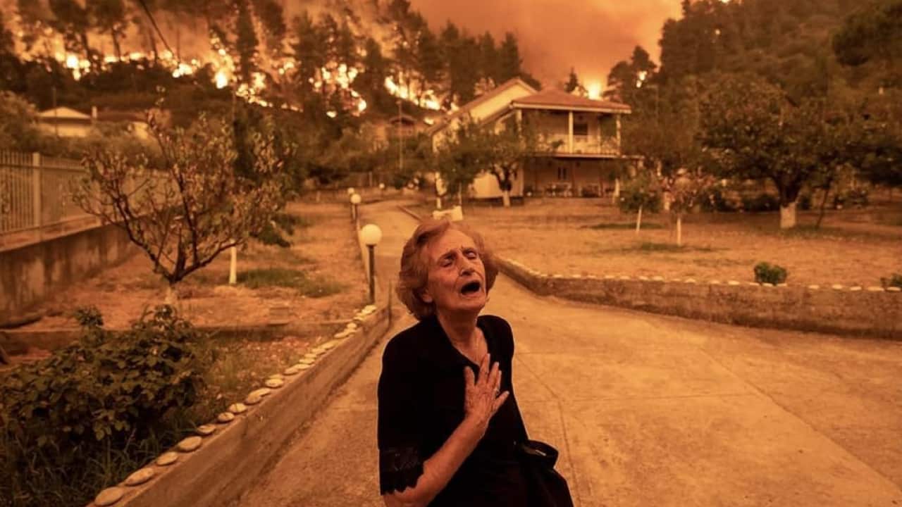 Γούβες, Β. Εύβοια- Κωνσταντίνος Τσακαλίδης