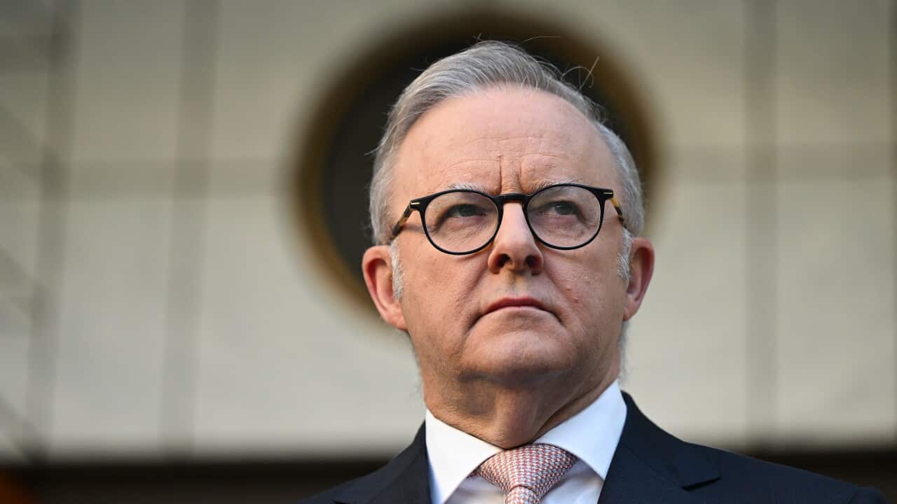 ANTHONY ALBANESE PRESSER