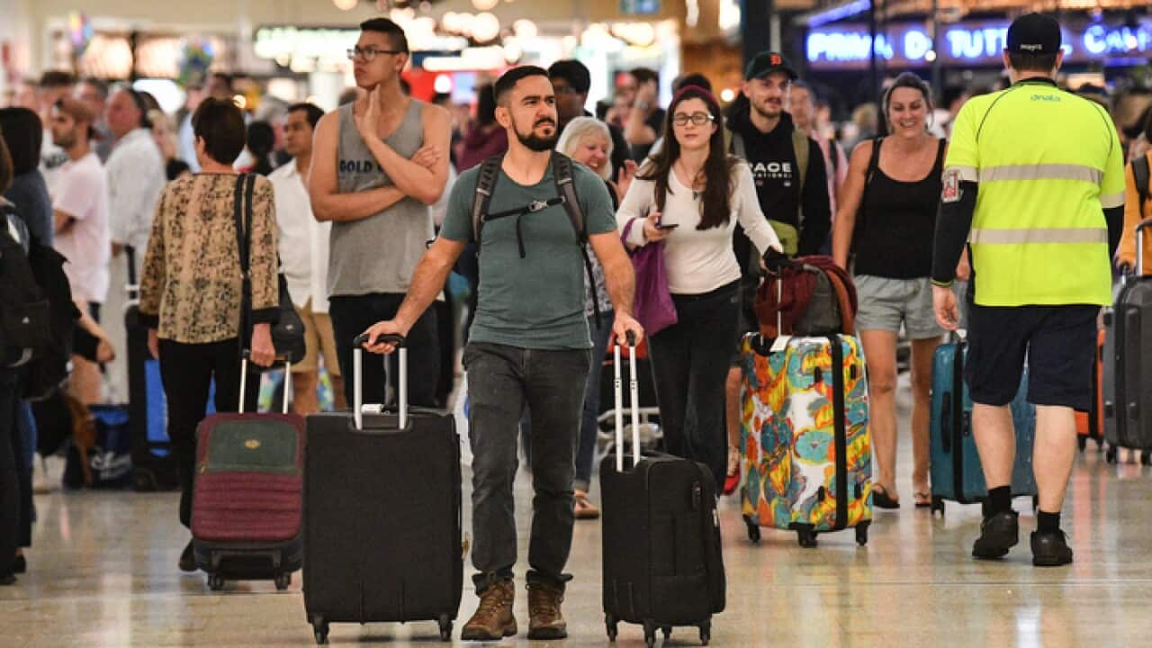 New arrivals at Sydney’s International Airport