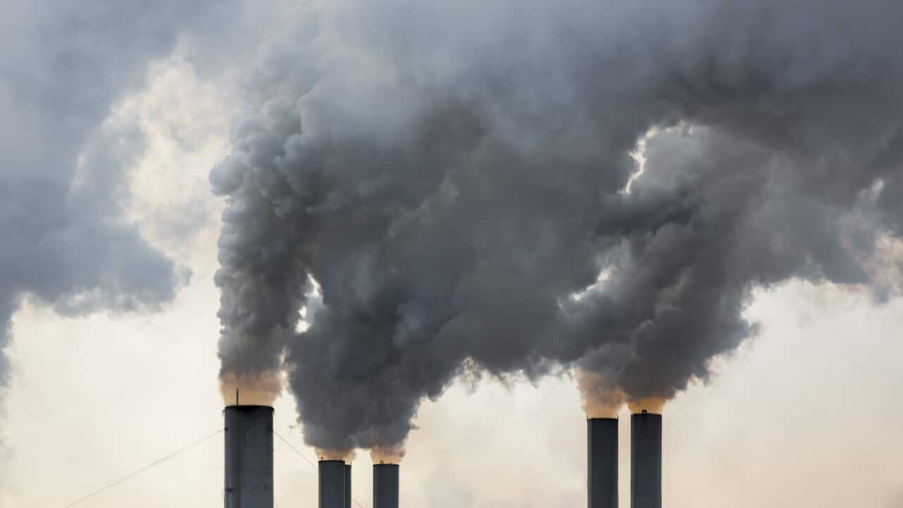 Smoke emerging from chimneys