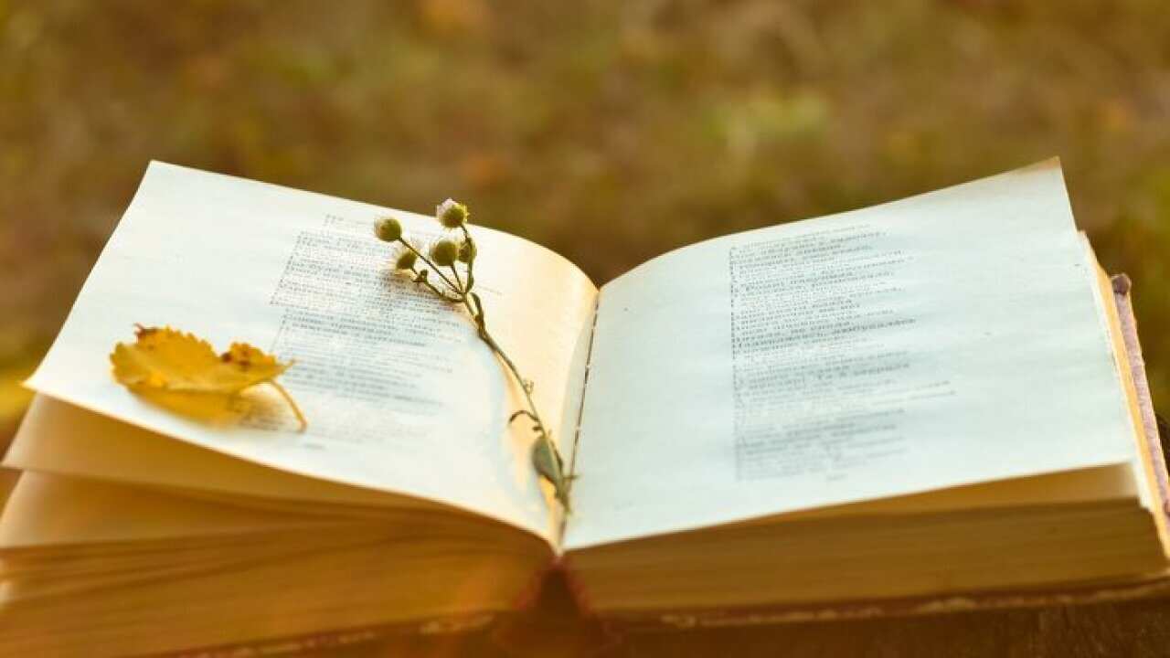 Vintage book