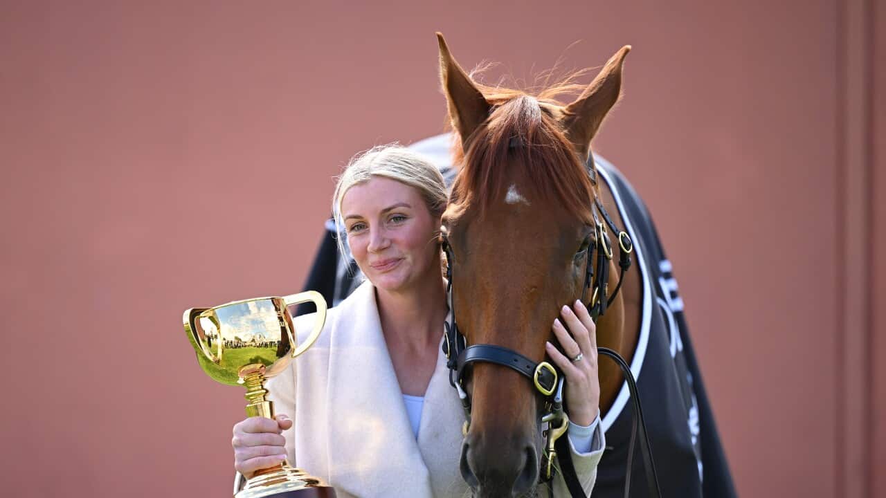 MELBOURNE CUP WINNER PORTRAIT