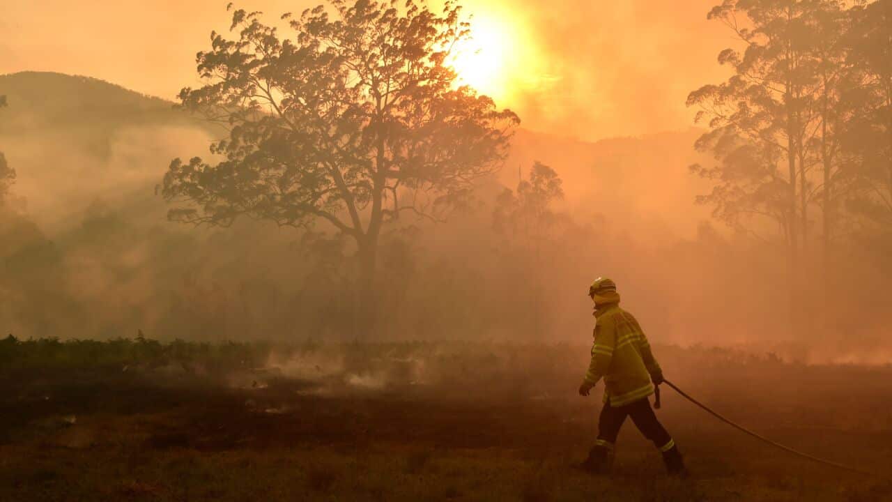 Image for read more article 'READ MORE'