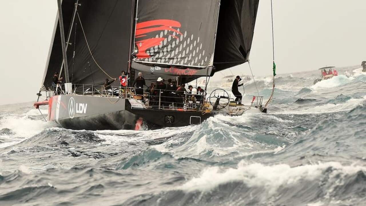 LDV Comanche makes its way past the Sydney Heads