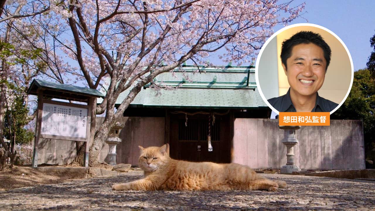 Image for read more article ''