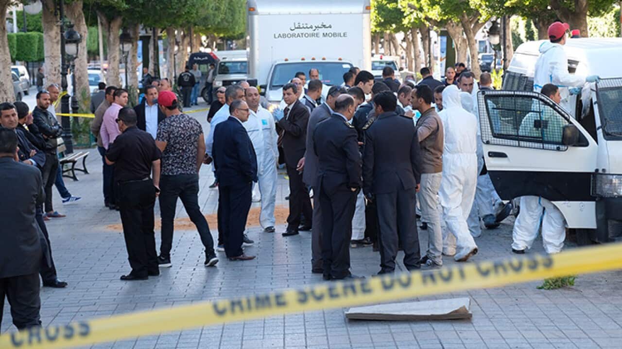 Tunisia suicide attack 