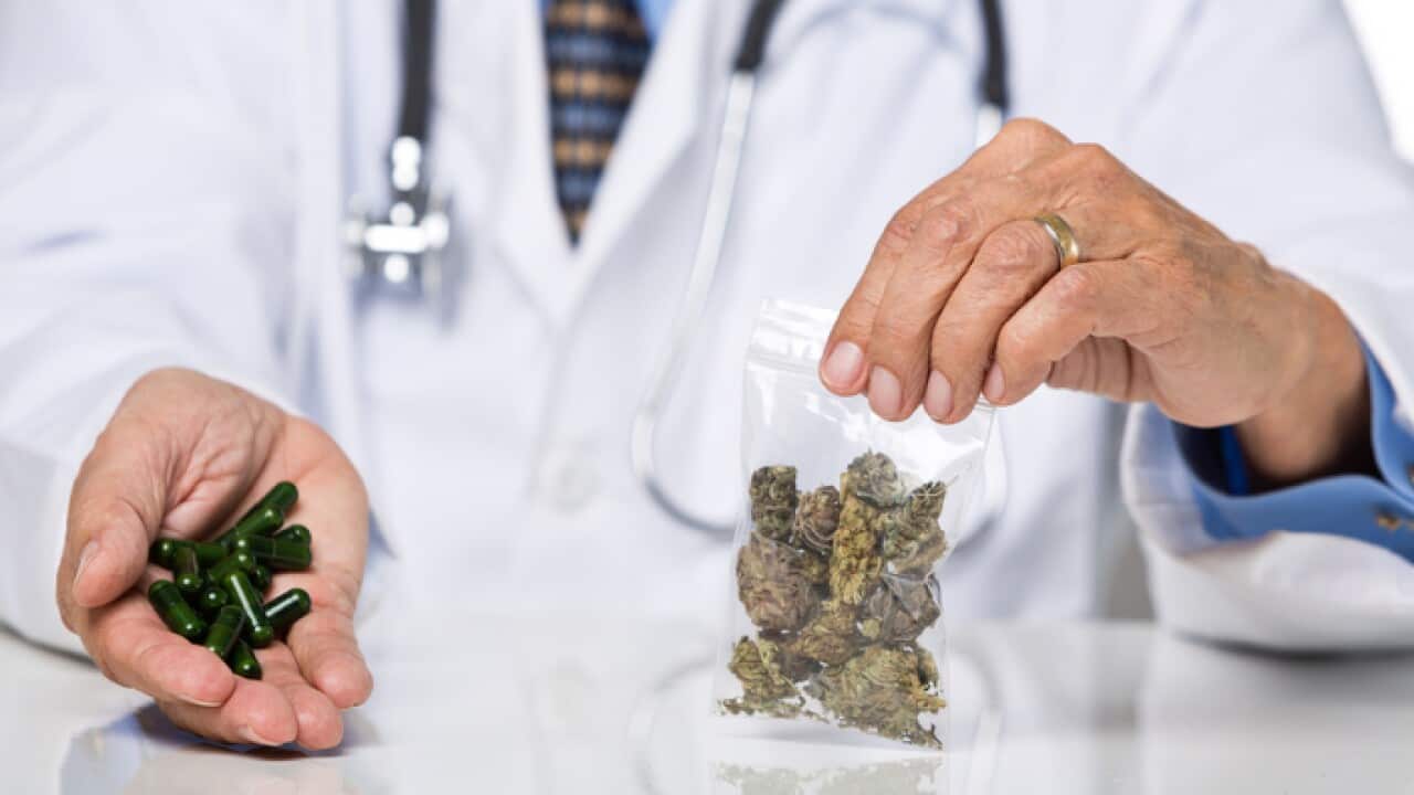 medical cannabis