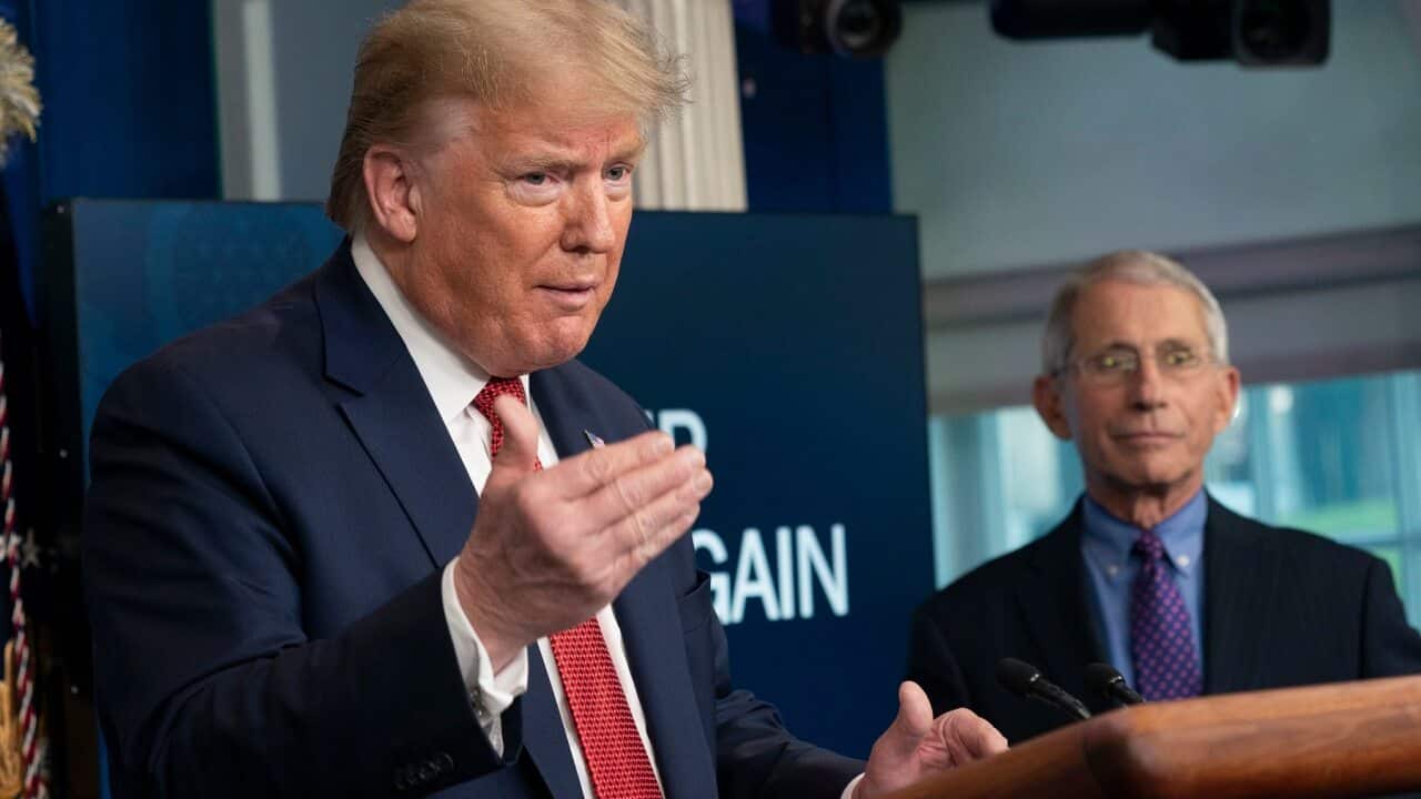 United States President Donald Trump has halted all US funding for the WHO.