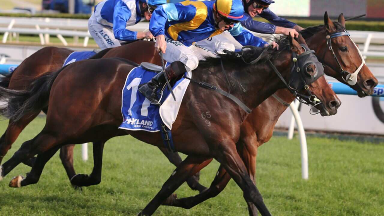 It's A Dundeel ridden by James McDonald