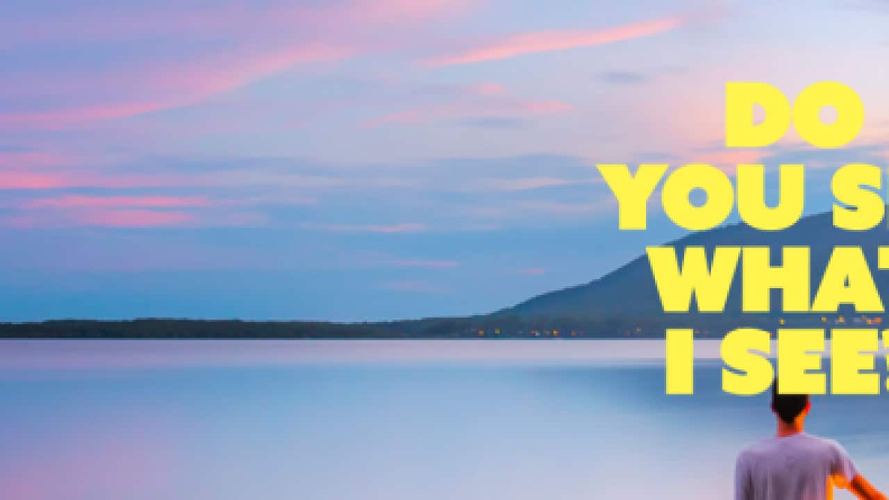 ‘DO YOU SEE WHAT I SEE?’