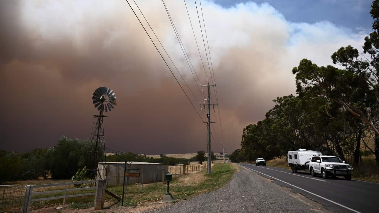 VICTORIA BUSHFIRES