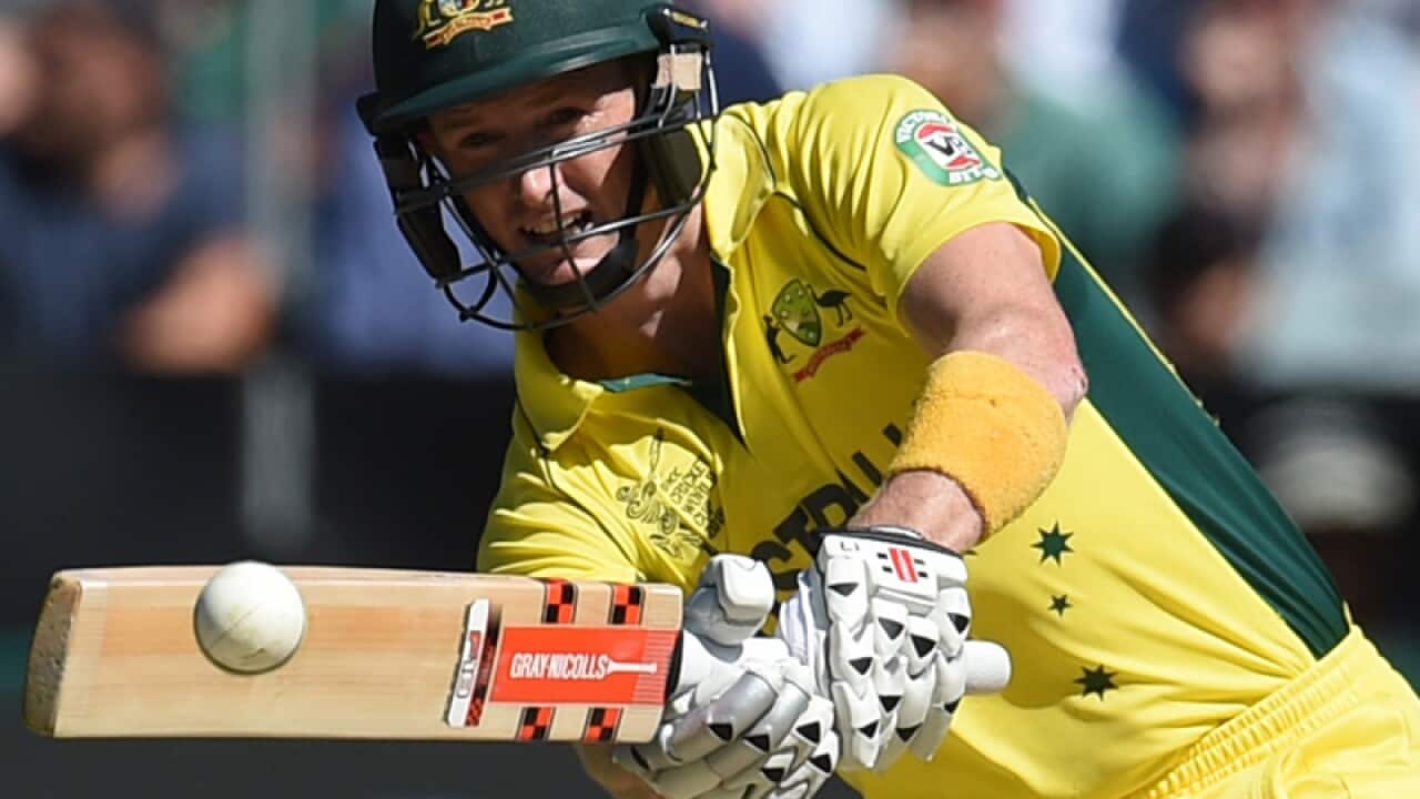 George Bailey plays a shot