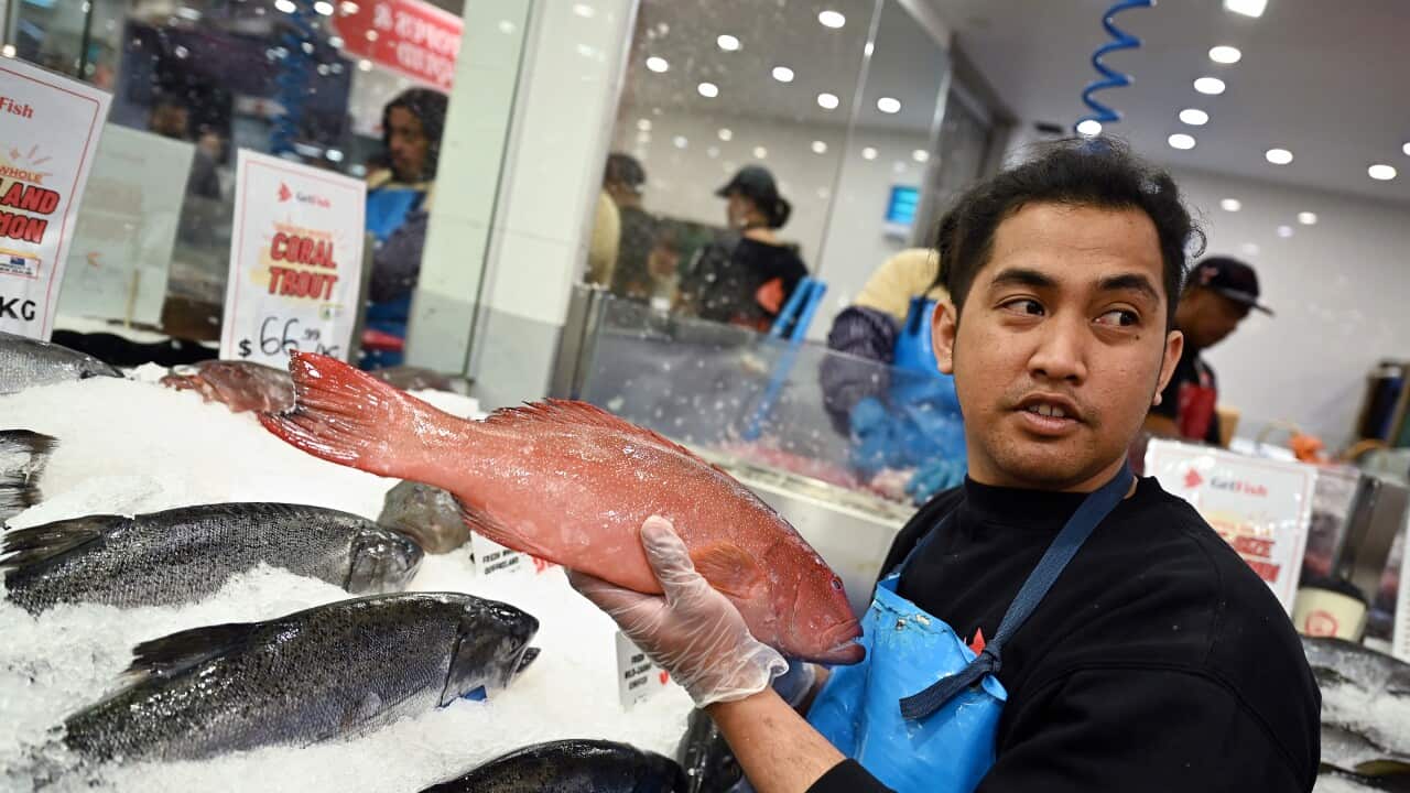 SYDNEY FISH MARKETS GOOD FRIDAY SALES