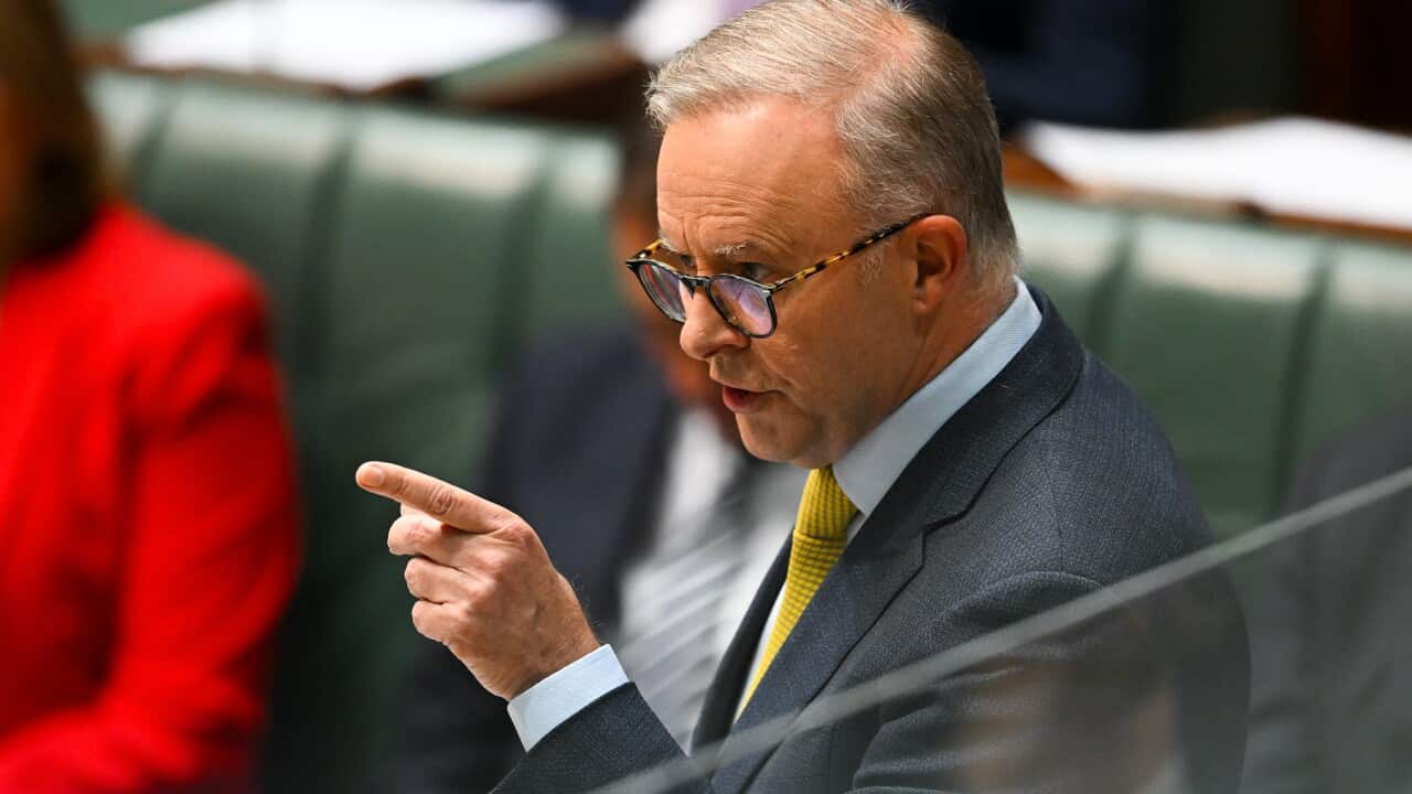 Prime Minister Anthony Albanese in Question Time (AAP).jpg