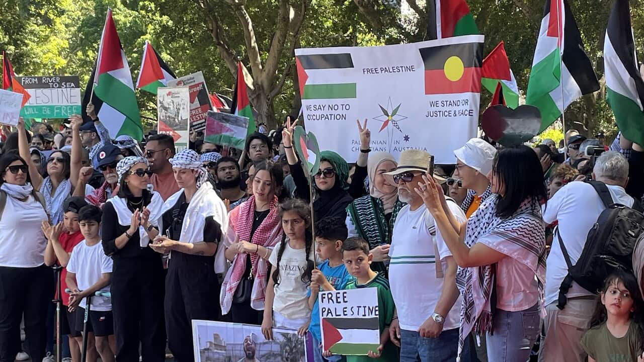 Australia: Rally in support of Palestine staged in Sydney