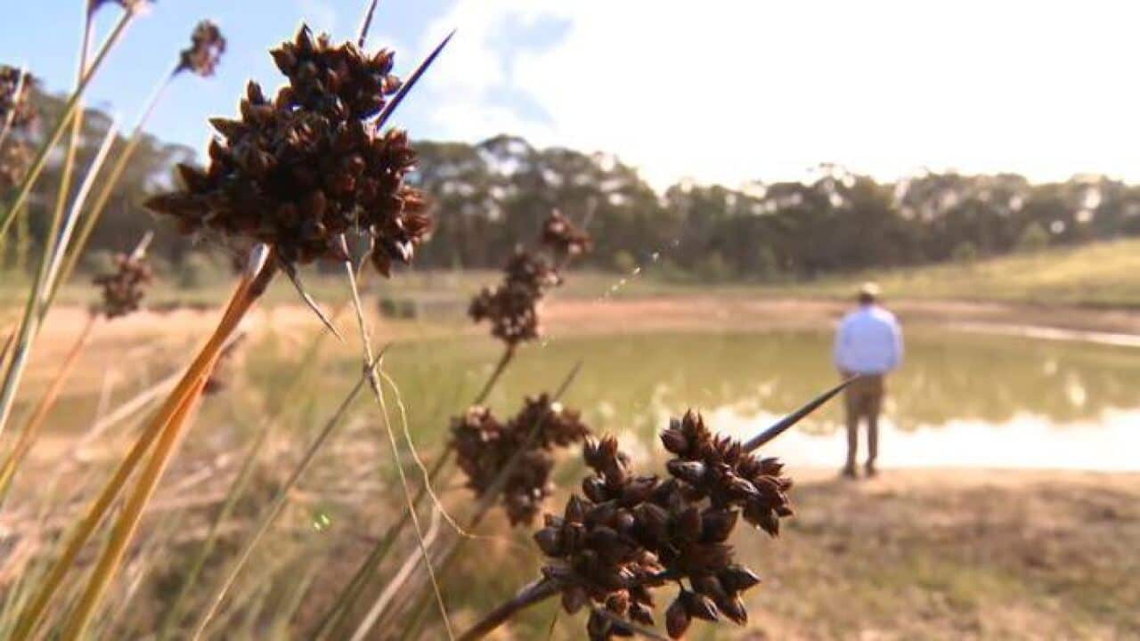 The man known as 'Michael'