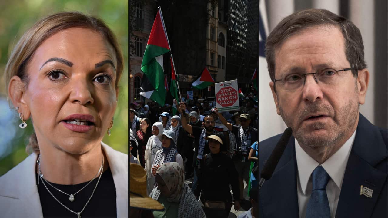 A three way split image. A woman on the left, pro-Palestine protestors in the centre and a man in a suit on the right.