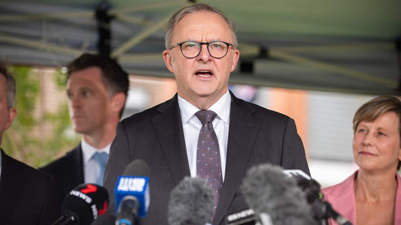 ANTHONY ALBANESE SYDNEY VISIT