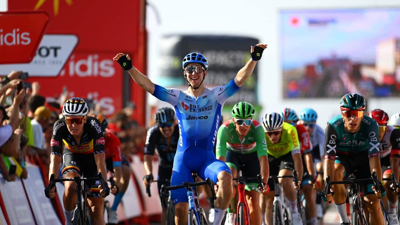 Image for read more article 'DISCOVER MORE'