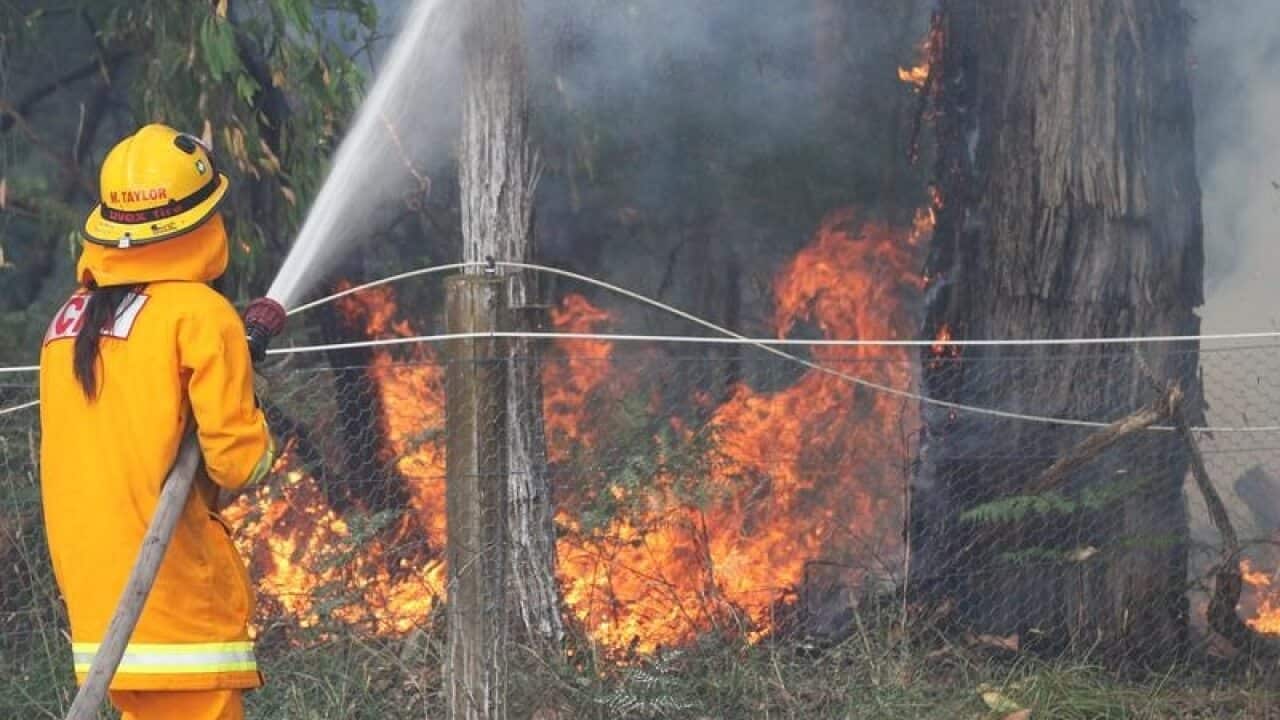 Image for read more article ''