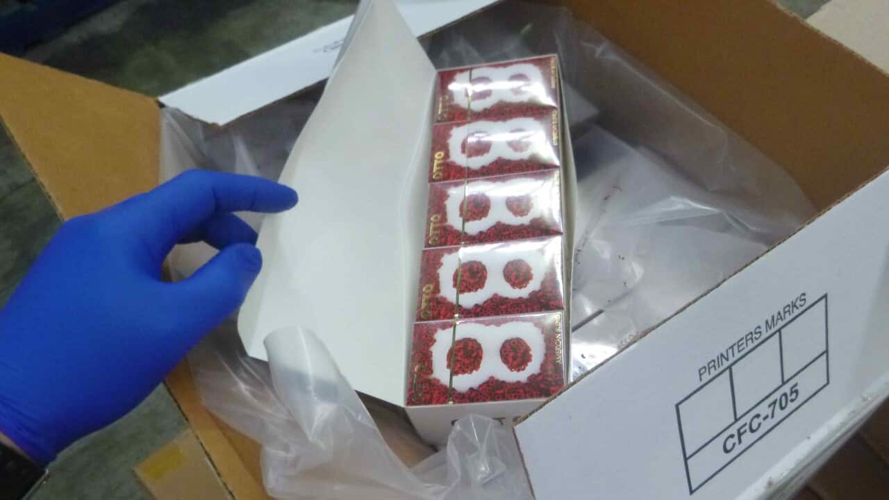 4 million illicit cigarettes, worth about 3.5m, seized by Australian Border Force officers in Sydney