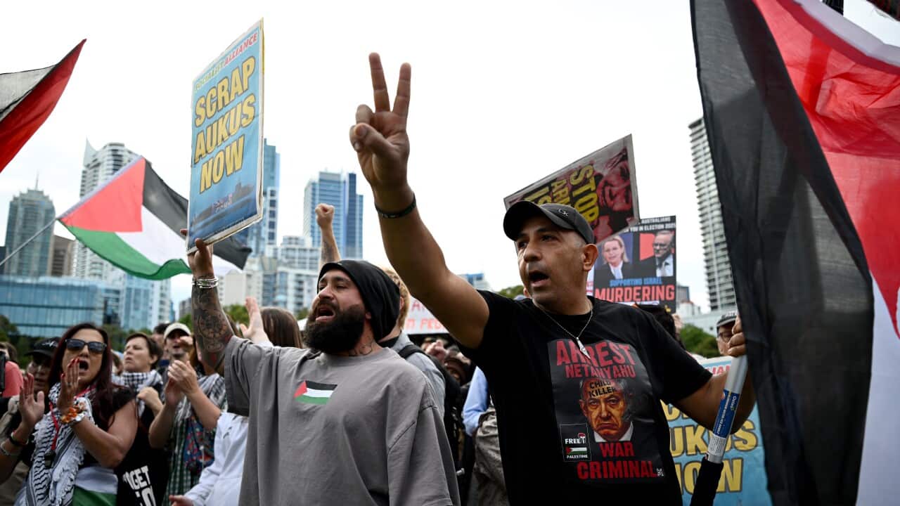 WEAPONS EXPO PROTEST